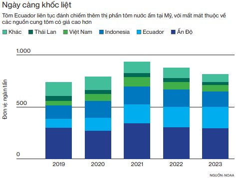 chart-thi-phan-tom.png