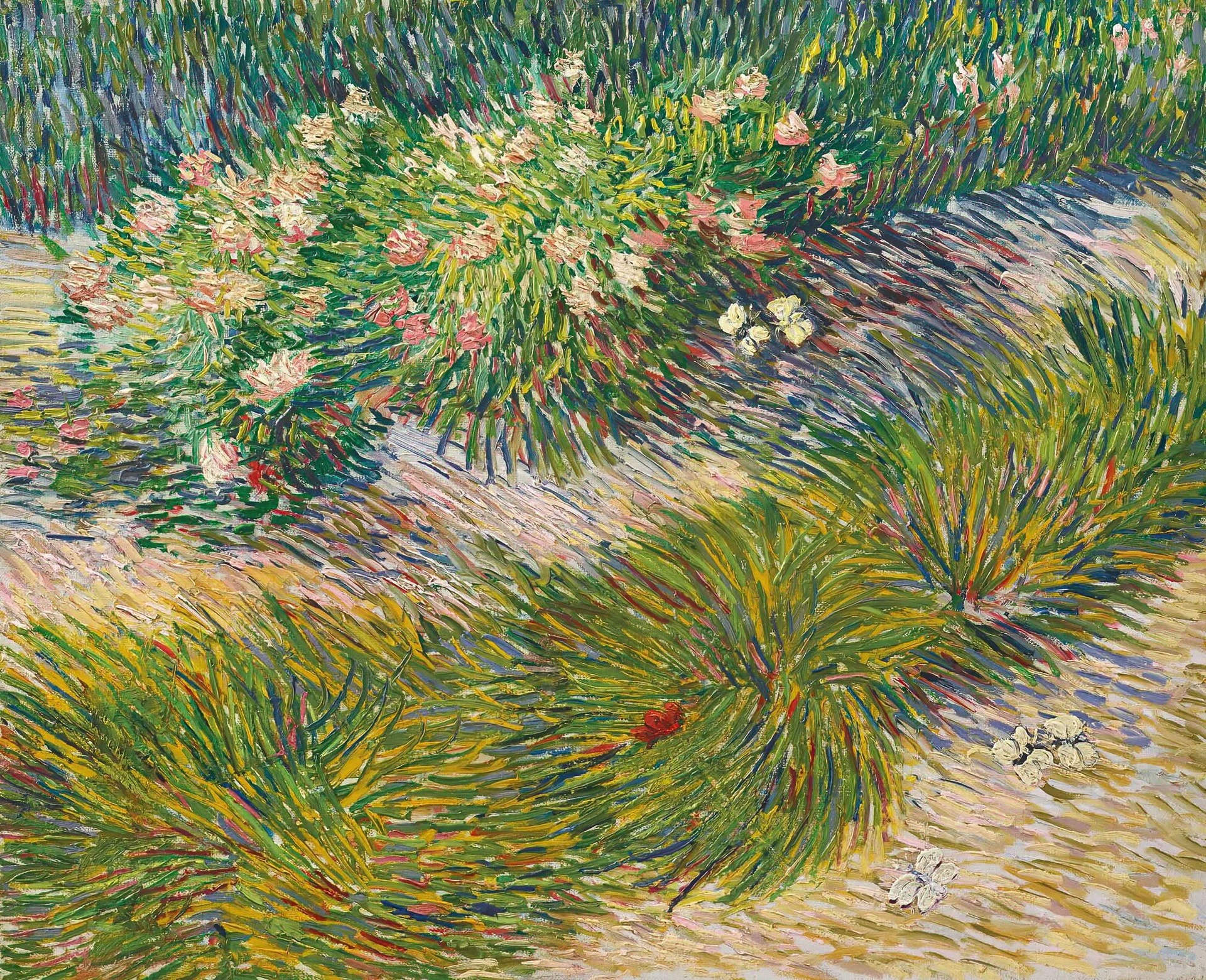 2000x1625.jpg