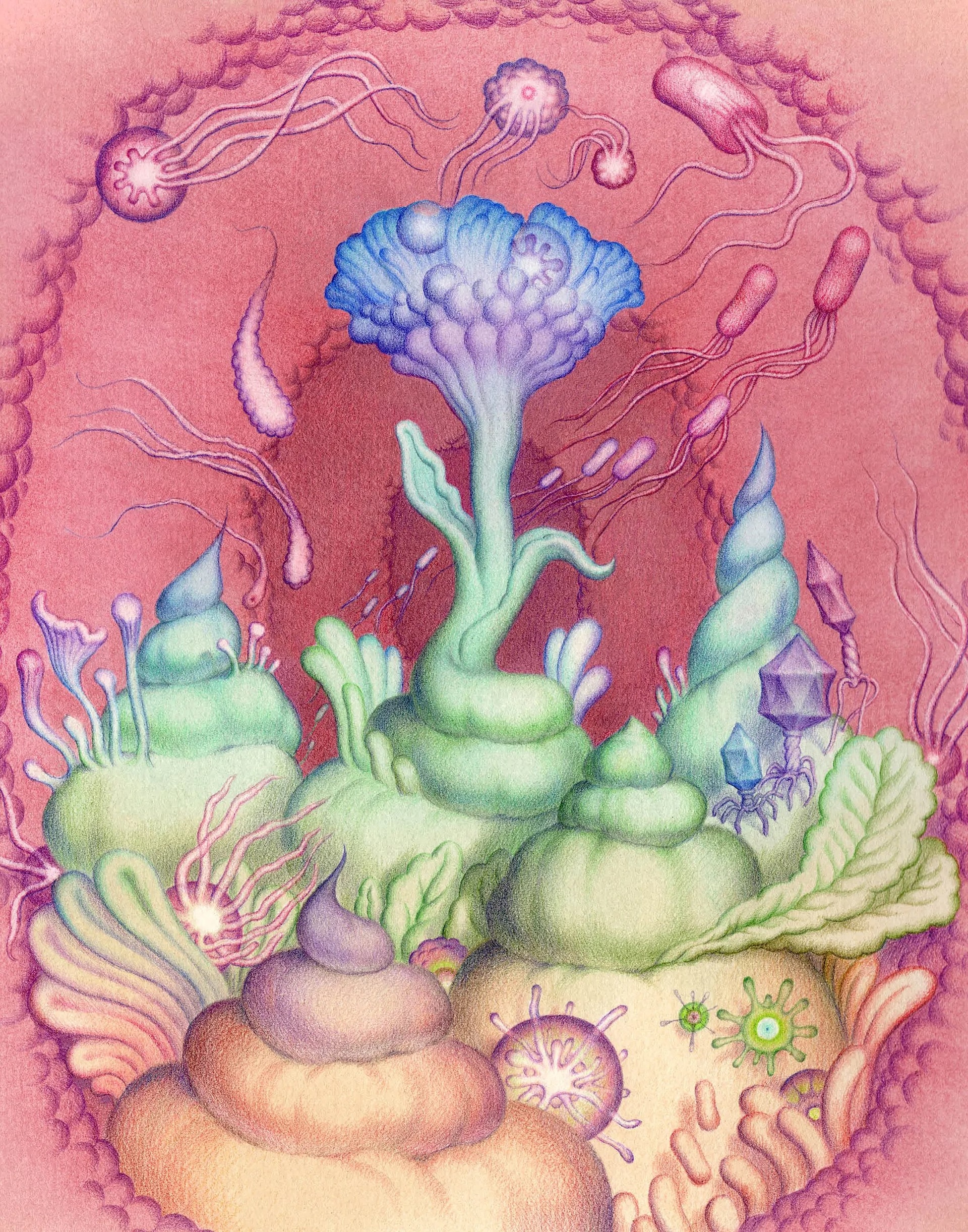 2000x2545.jpg
