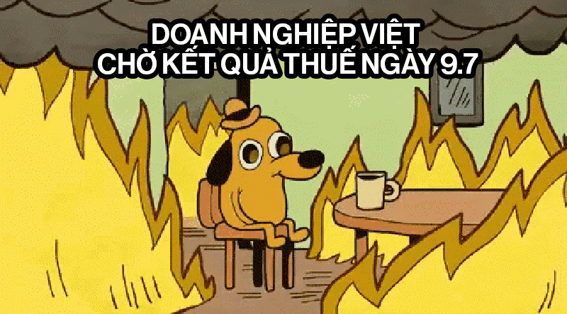 meme.gif