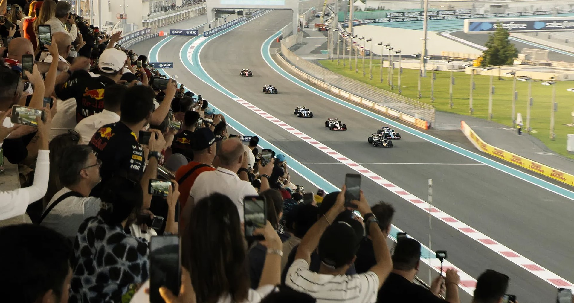 f1.jpg