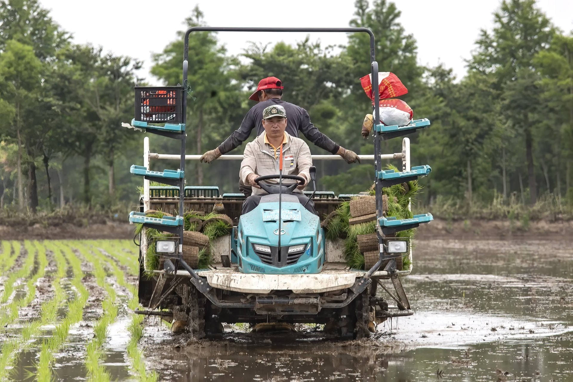 farmer-shanghai_qilai-shen.jpg