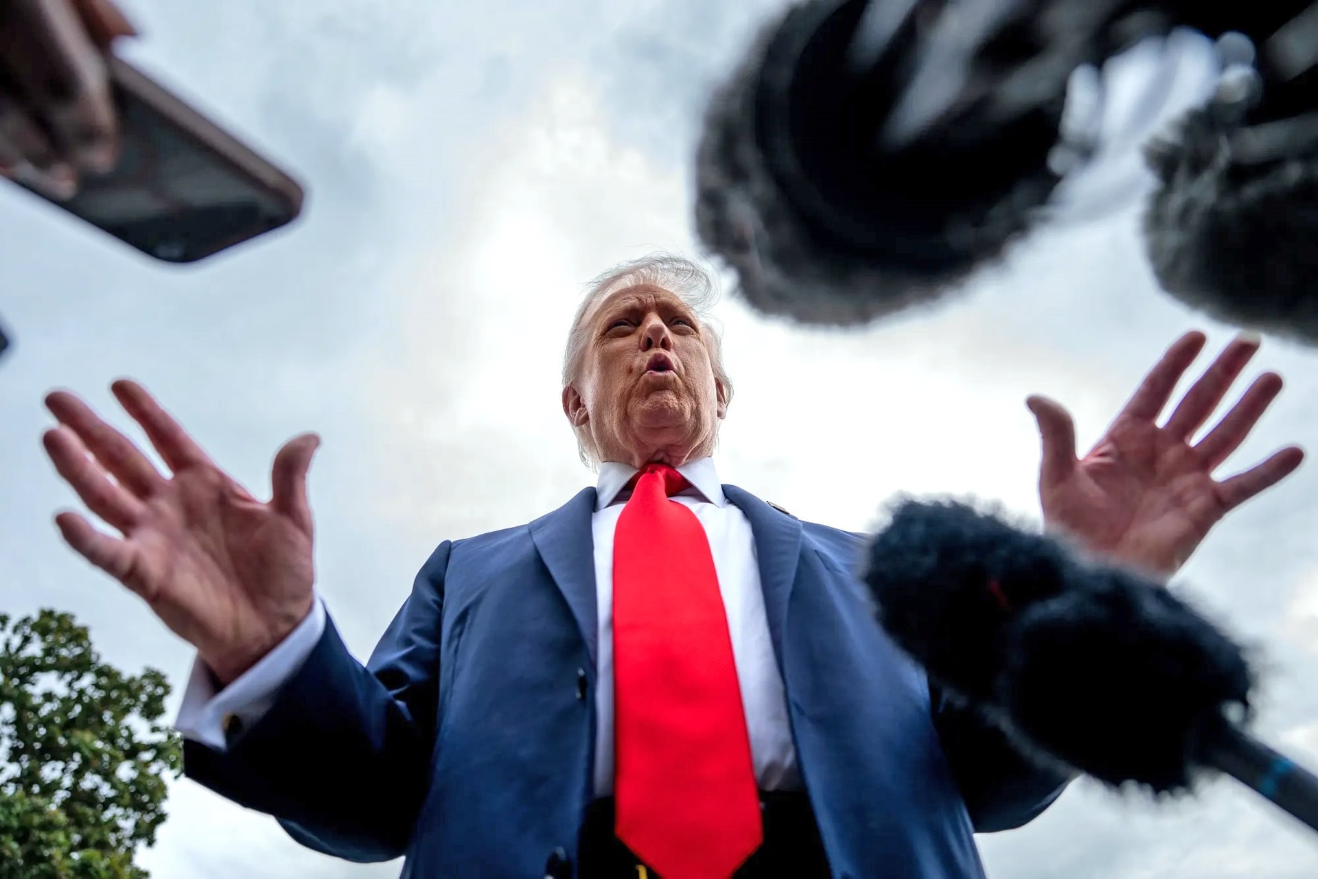 donald-trump_bonnie-cash.jpg