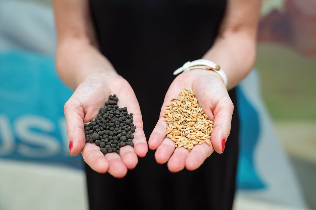 Than sinh học của Husk có gì hay?