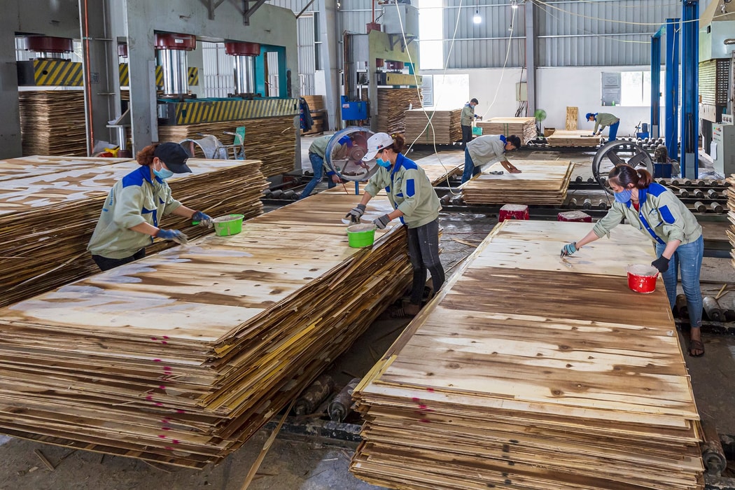 Cơ hội nào cho ngành gỗ tại Việt Nam sau đàm phán thuế đối ứng?
