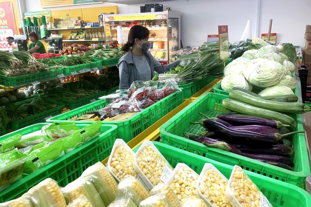 Lợi nhuận sau thuế năm 2025 của Bách Hoá Xanh ước tính vượt 600 tỉ đồng